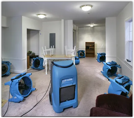 Basement Flood Cleanup in Krum, TX