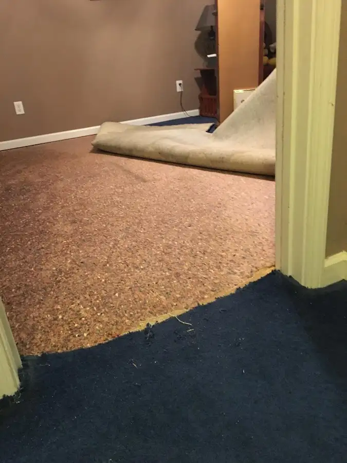 Carpet pad removal revealing water damage during Drying & Dehumidification in Krum