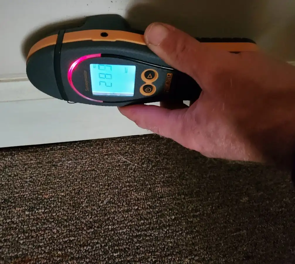 Moisture detection at baseboard during Burst Pipe Cleanup in Krum